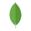MongoDB